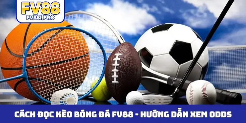 Cách đọc kèo bóng đá FV88