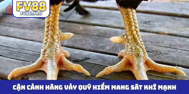 Cận cảnh hàng vảy quý hiếm mang sát khí mạnh