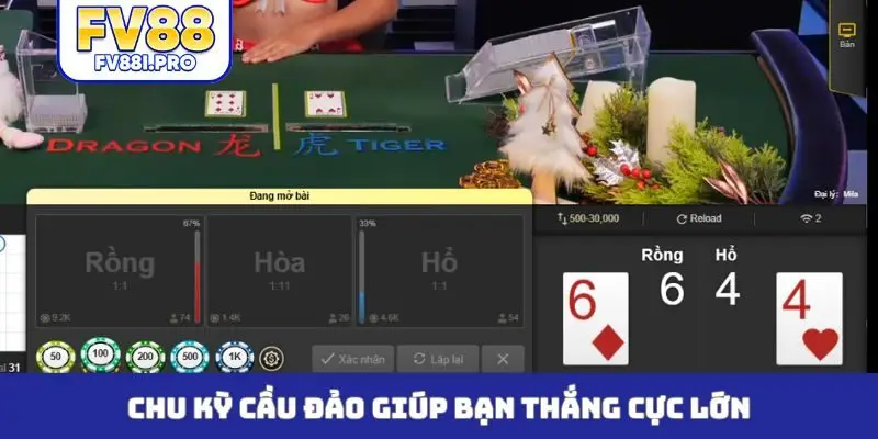 Chu kỳ cầu đảo giúp bạn thắng cực lớn