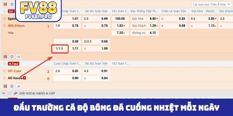 Đấu trường cá độ bóng đá cuồng nhiệt mỗi ngày