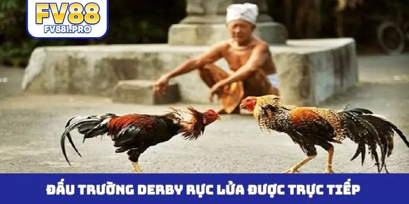 Đấu trường Derby rực lửa được trực tiếp