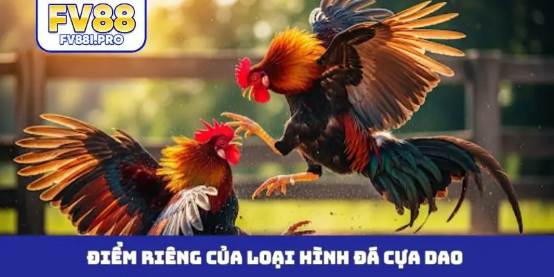 Điểm riêng của loại hình đá cựa dao