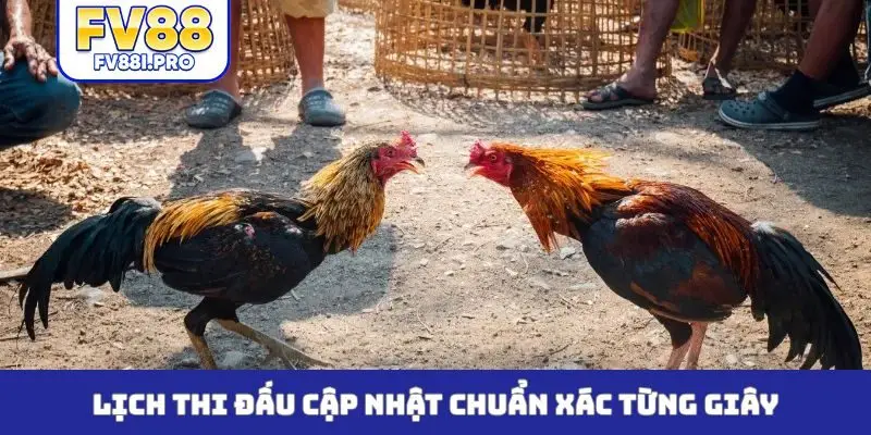 Lịch thi đấu cập nhật chuẩn xác từng giây