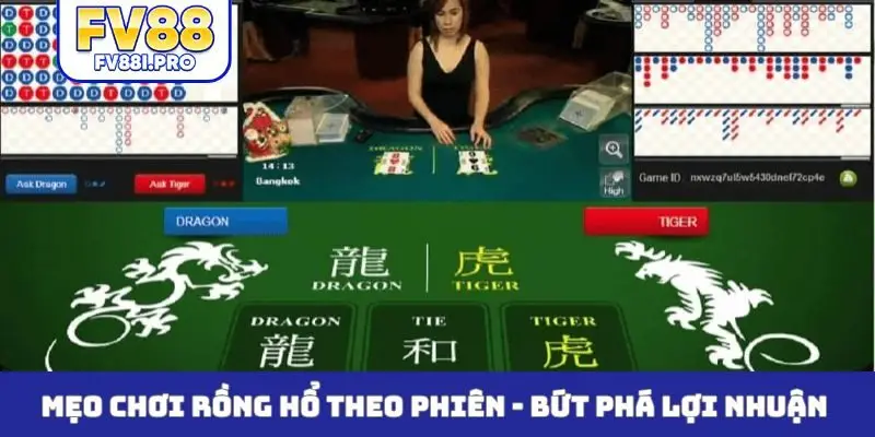 Mẹo chơi rồng hổ theo phiên