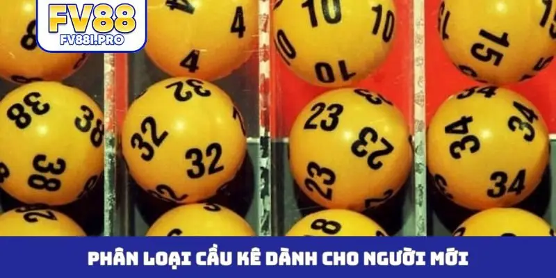 Phân loại cầu kê dành cho người mới