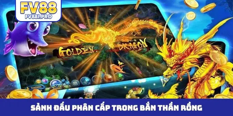 Sảnh đấu phân cấp trong bắn thần rồng