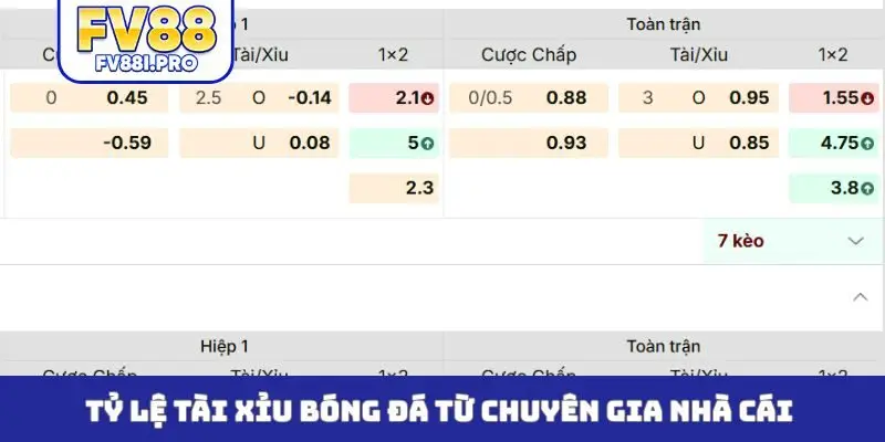 Tỷ lệ tài xỉu bóng đá từ chuyên gia nhà cái